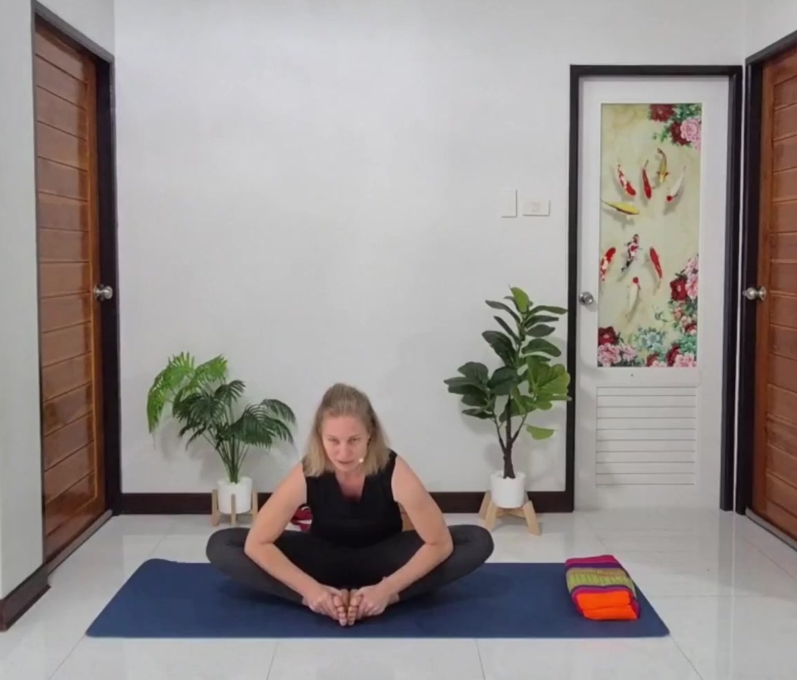 Aktiver Schmetterling in der Vorbeuge (Baddha Konasana)