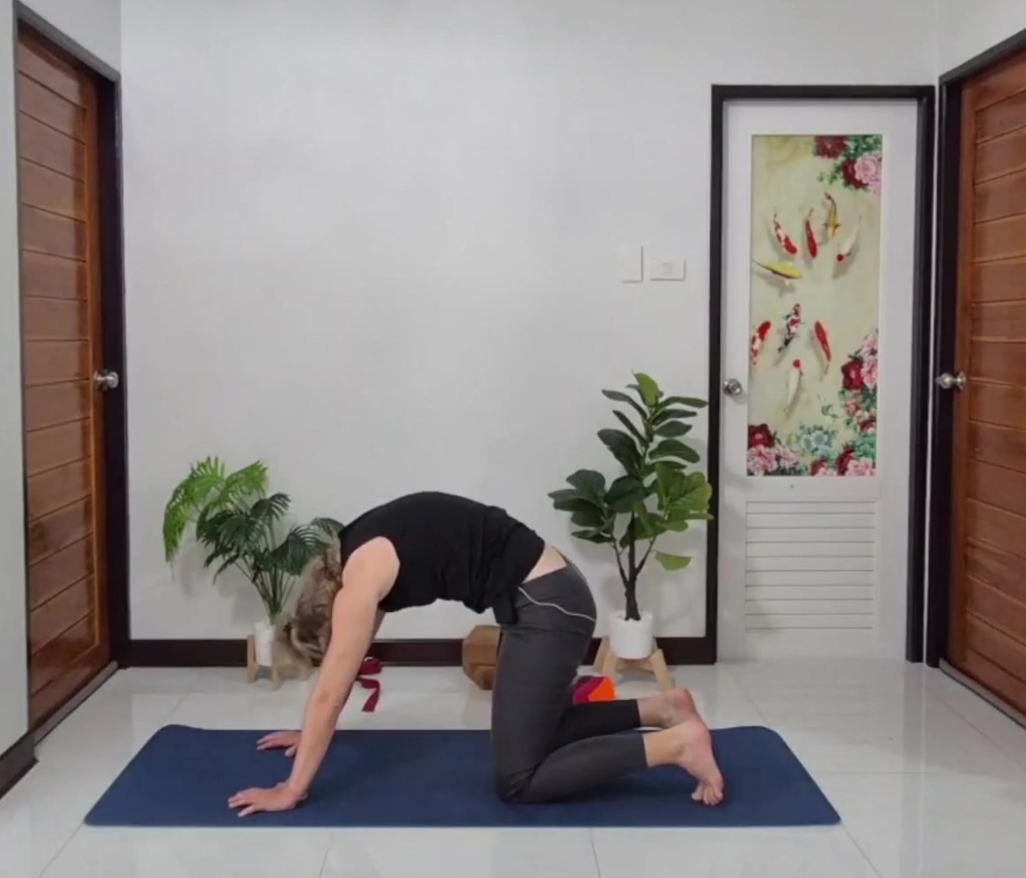 Katze-Kuh (Marjaryasana-Bitilasana)