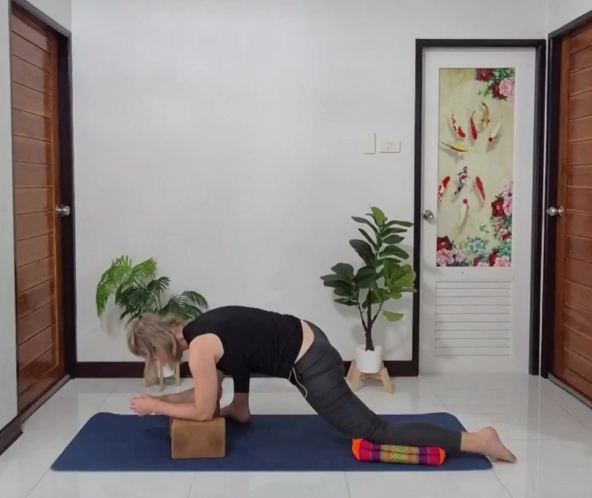 Eidechse (Utthan Pristhasana)