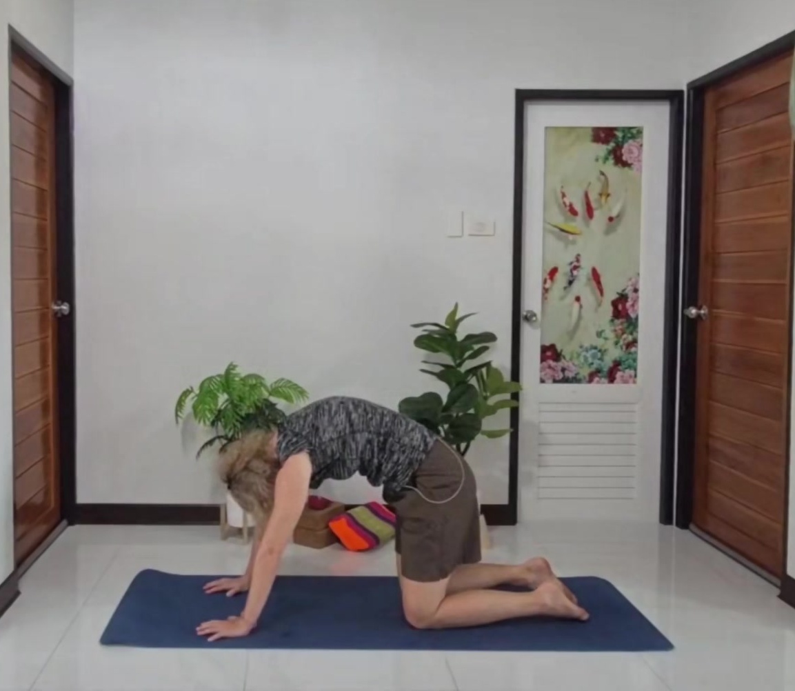 Katze-Kuh (Marjaryasana-Bitilasana)