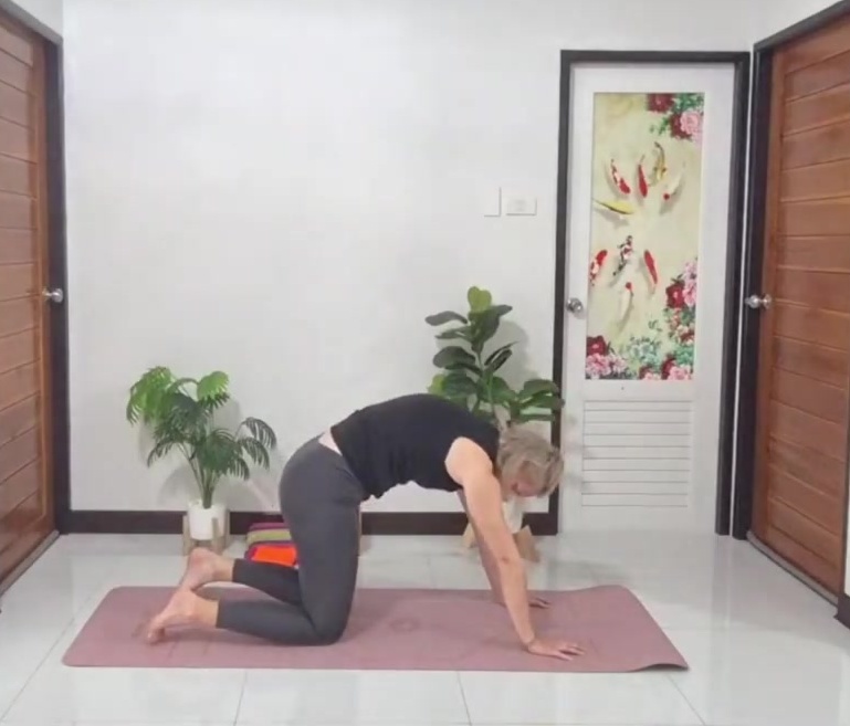Katze-Kuh (Marjaryasana-Bitilasana)